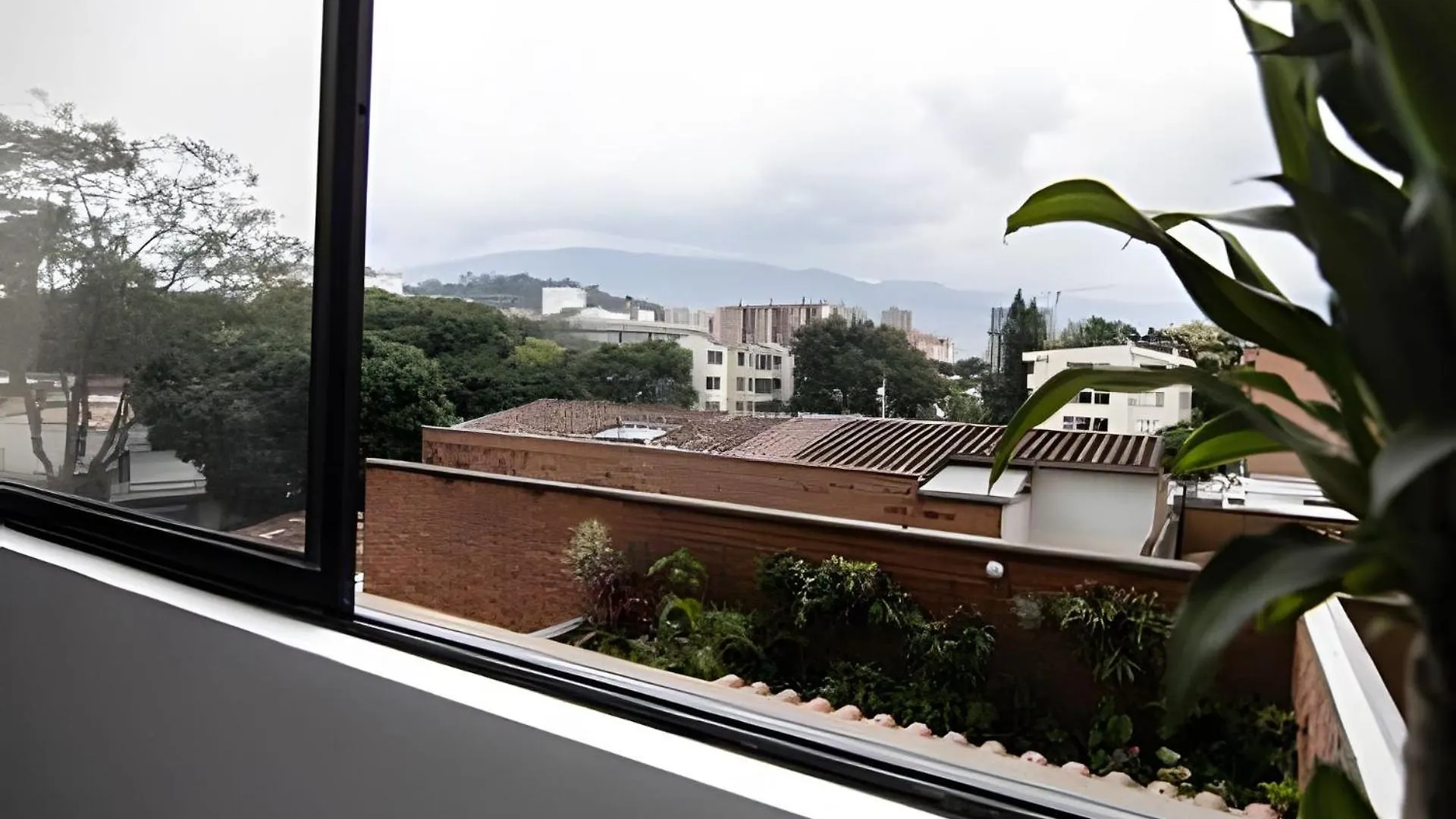 Laureles Amplio Fresco Acogedor 8 Personas Apartment Medellin